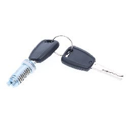 ***VEDI LFT300M-L*** CILINDRETTO SERRAT. PORTA FIAT PANDA 2003 - 500 2007 - PUNTO 1999-2003 - DOBLO 2000-2005 C/2 CHIAVI DESMO