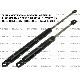 MOLLA A GAS LUNOTTO POSTERIORE 243L-560N BMW SERIE 5 E39 TOURING 1995-