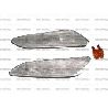 TRASP LAT DX A/156-147/04- CRISTAL