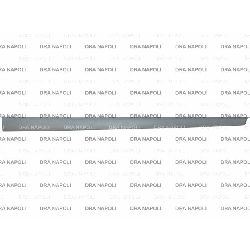 MODANATURA PORTA ANT. DX C/PRIMER FORD FIESTA 2006- 3P