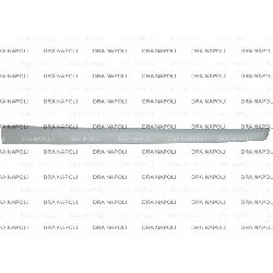 MODANATURA PORTA ANT. DX C/PRIMER FORD FIESTA 2006- 4P