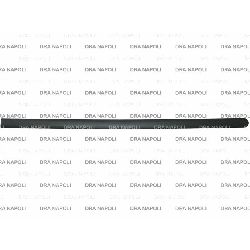 MODANATURA PORTA ANT. DX FORD FUSION 2002- 5P