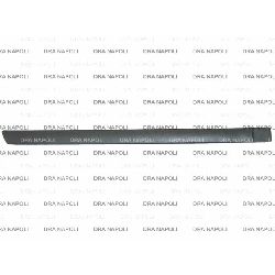 MODANATURA PORTA POST. DX FORD FOCUS 2005- 4/5P