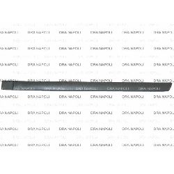 MODANATURA PORTA POST. SX FORD FOCUS 2005- 4/5P