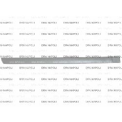 MODANATURA PORTA POST. DX C/PRIMER FORD FOCUS 2005- 4/5P