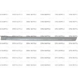 MODANATURA PORTA POST. SX C/PRIMER FORD FOCUS 2005- 4/5P