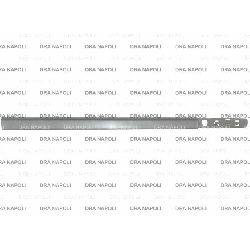 MODANATURA PORTA ANT. DX C/PRIMER RENAULT CLIO 2005- 5P