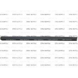 MODANATURA PORTA POST. DX VW CADDY 2003-