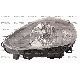 FARO H4 CON MOT.EL.DX FIAT GRANDE PUNTO EVO 2009- / PUNTO 2012- PAR NERA