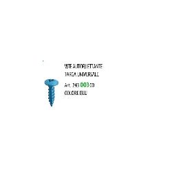 100 PZ - VITE AUTOFILETTANTE BLU TARGA UNIVERSALE 33128 